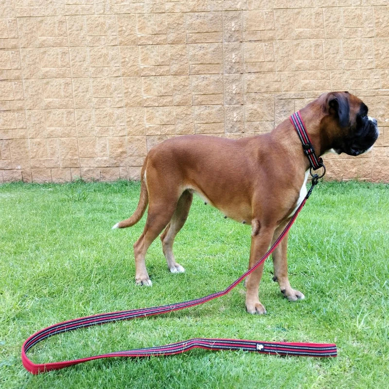 PawStride™