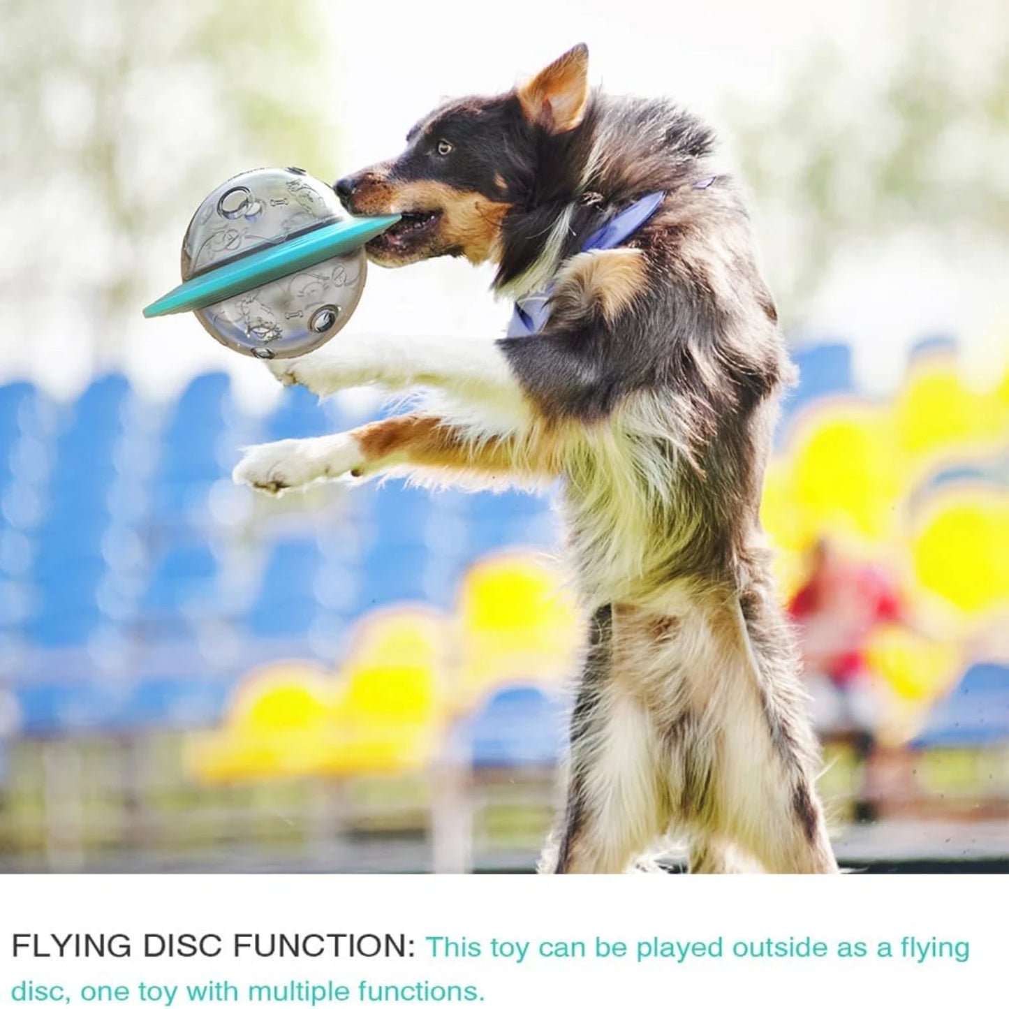 Flying Saucer™