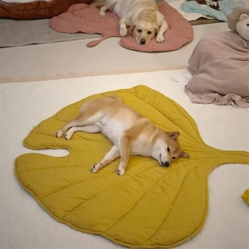 CoolingLeafâ˘