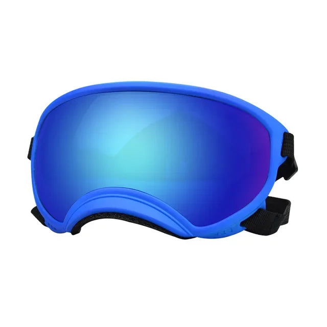 SnoutShadesâ˘