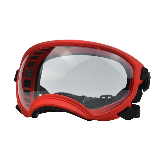 SnoutShadesâ˘