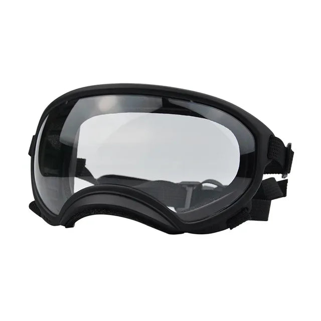 SnoutShadesâ˘