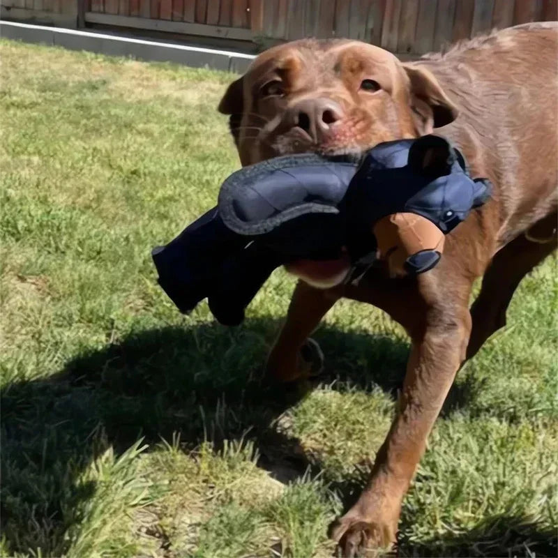TeddyPlush™