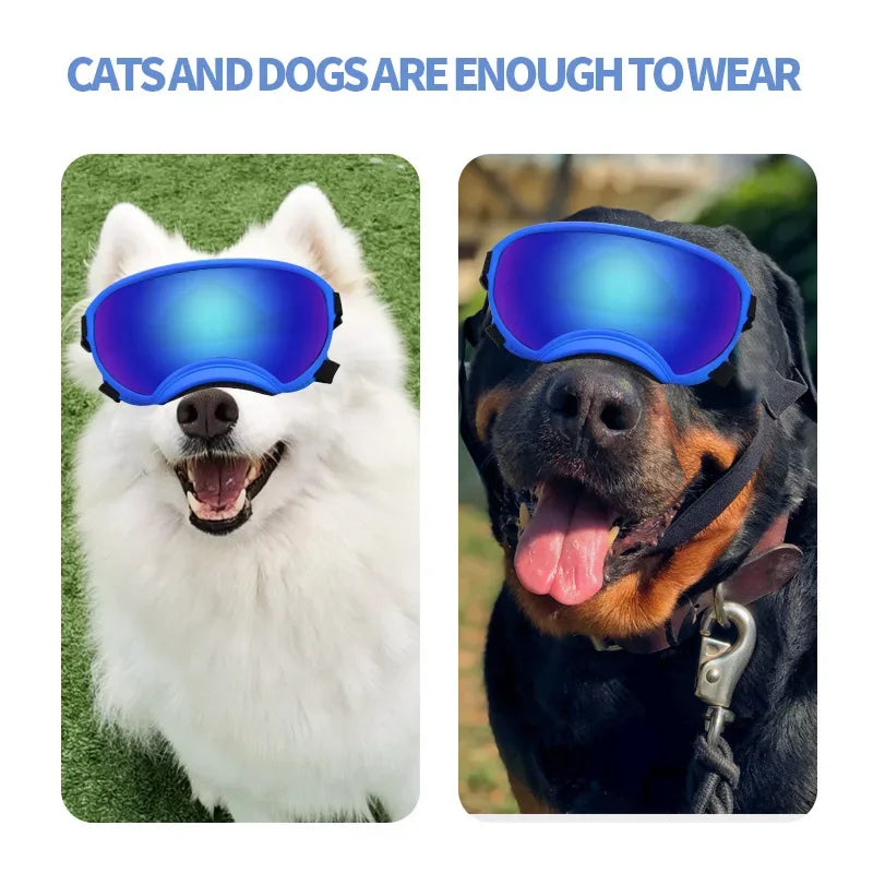 SnoutShadesâ˘