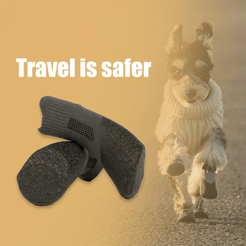 PawGuard™