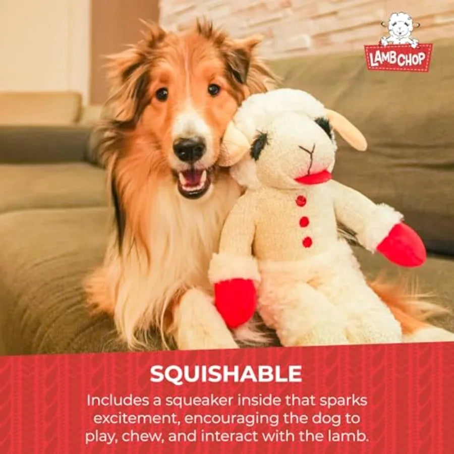 SnuggleChopâ˘