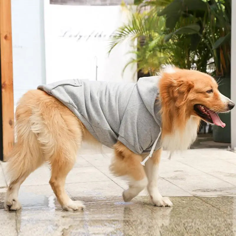 HoodPup™