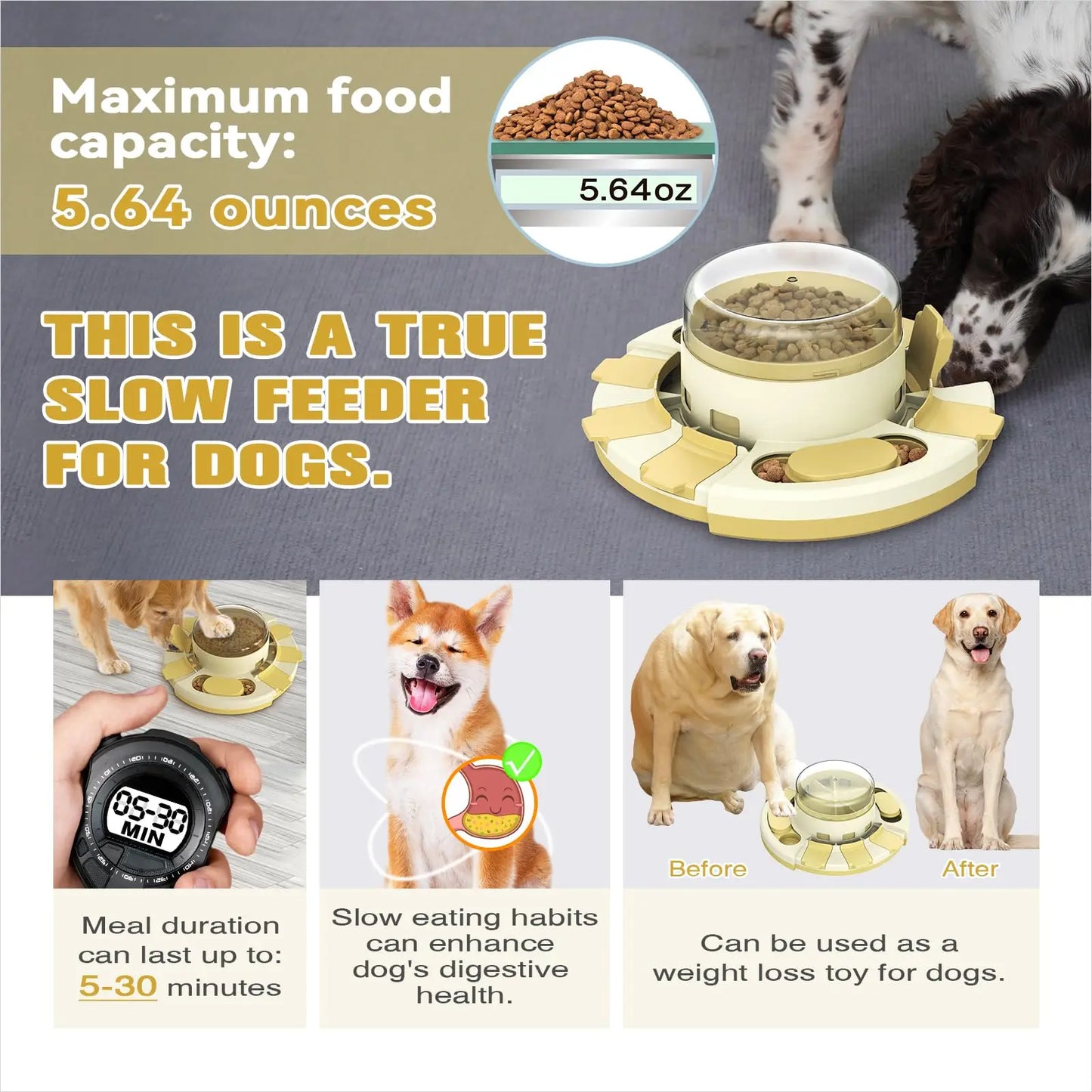 PawzzlePro™