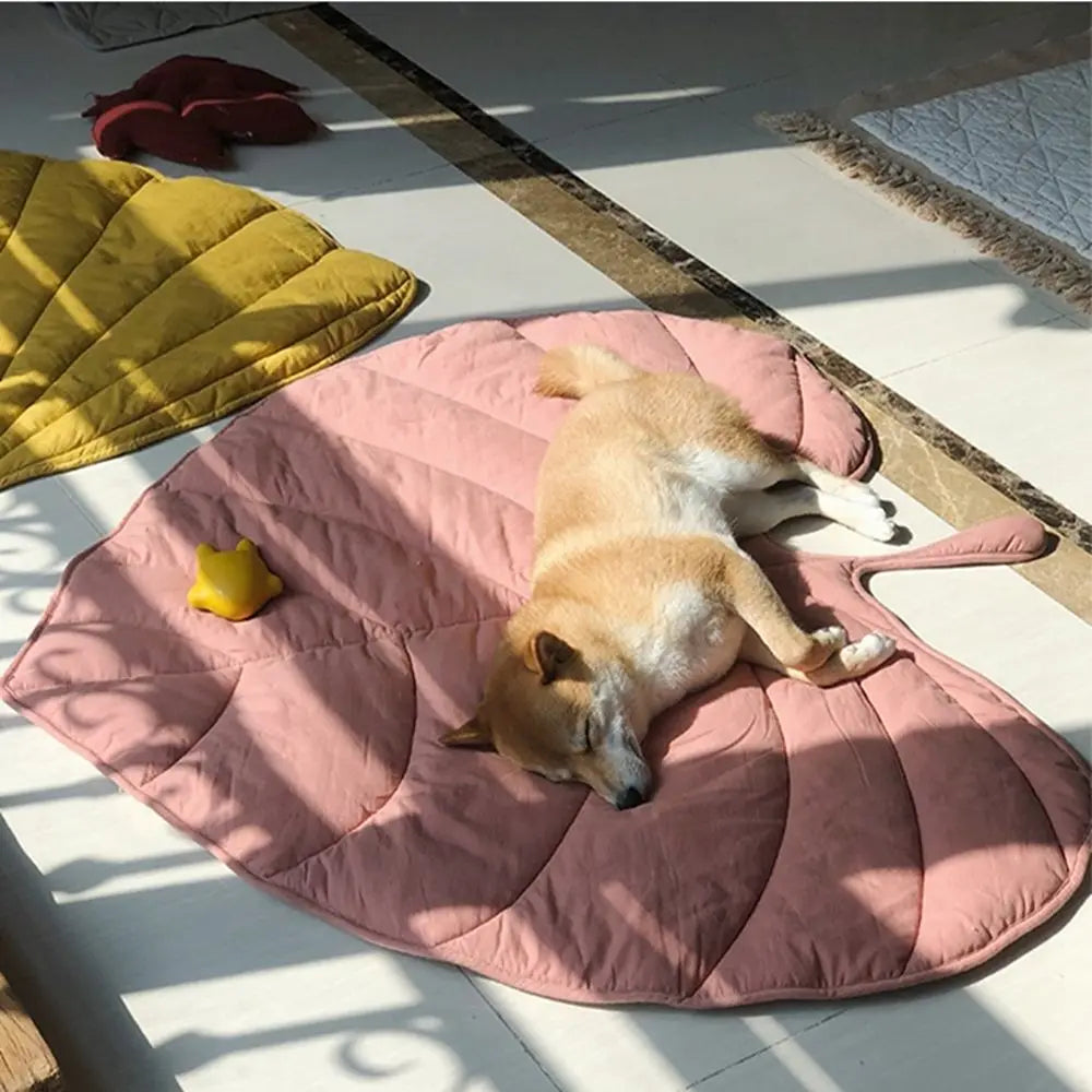 CoolingLeafâ˘