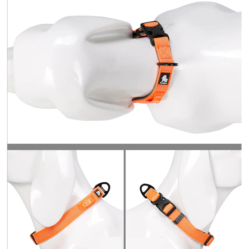 CoreCollar™