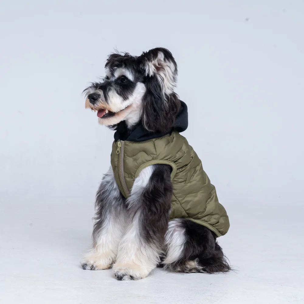 The PupShell™