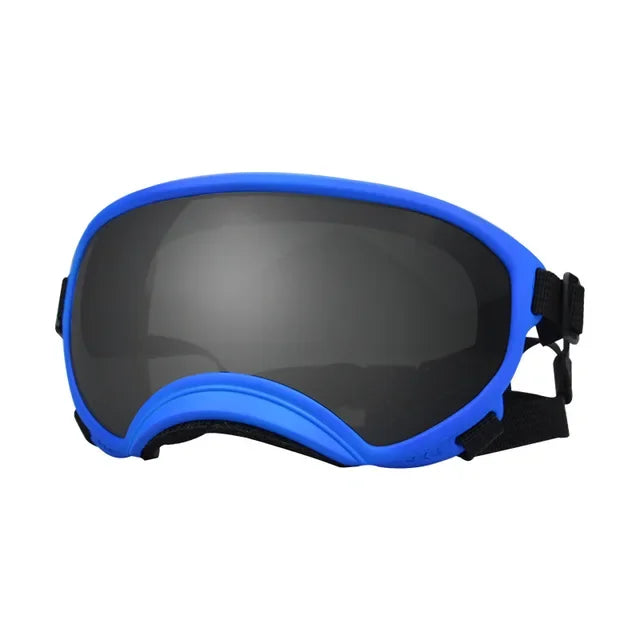 SnoutShadesâ˘