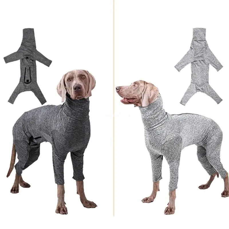 PawtectiveSuit™