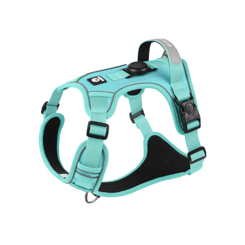 GlowFit™