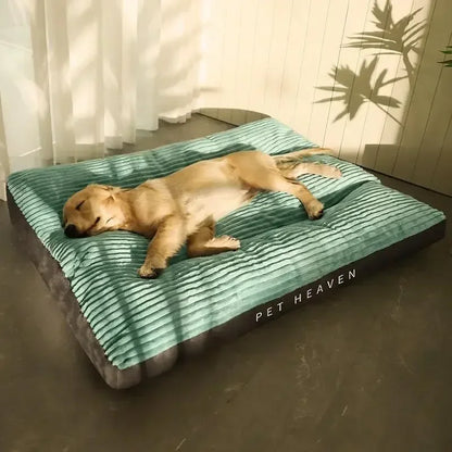 CozyCord™
