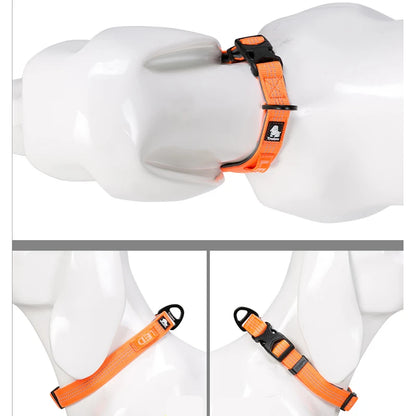 CoreCollar™