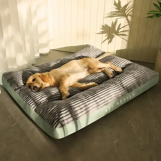 CozyCord™